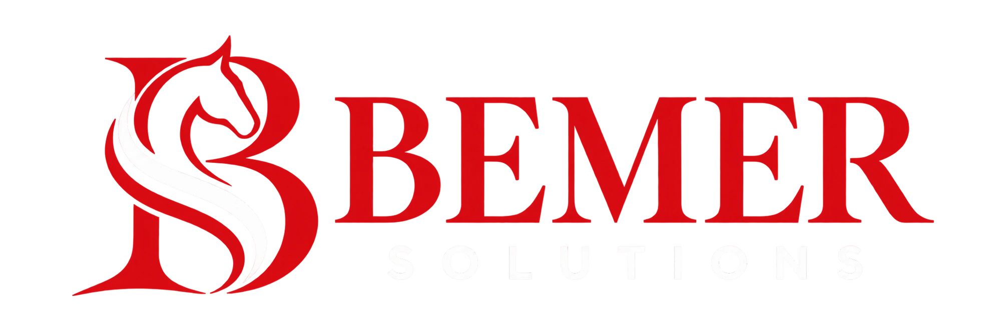 Bemer Solutions logo